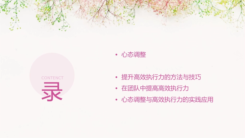 心态的调整与高效的执行力通用课件_第2页