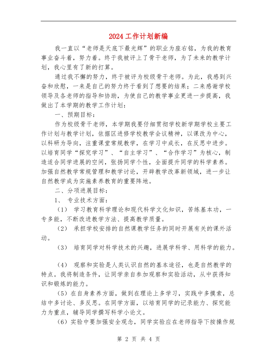 2024工作计划新编_第2页