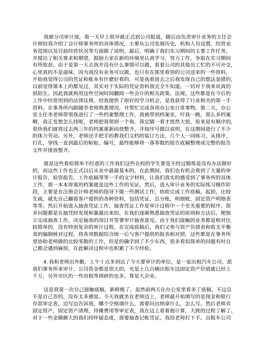 审计实习报告范文3000字五篇_第3页