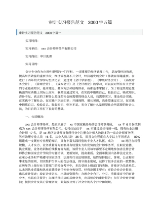 审计实习报告范文3000字五篇