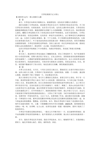 月季花ۥ观察日记3则精选 