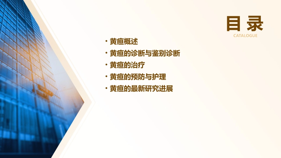 黄疸教学查房课件_第2页