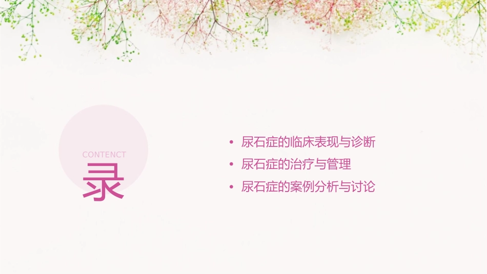 尿石症讲稿庄志明课件_第2页