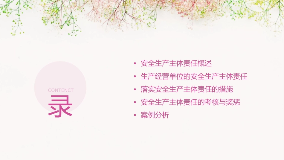 落实生产经营单位安全生产主体责任课件_第2页