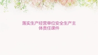 落实生产经营单位安全生产主体责任课件