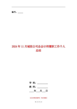 2024年11月城投公司总会计师履职工作个人总结