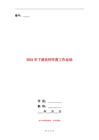 2024年下派农村年度工作总结
