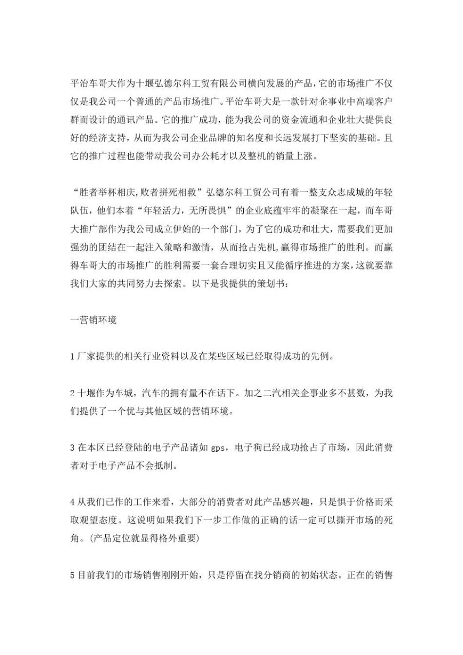 市场推广方案_第3页