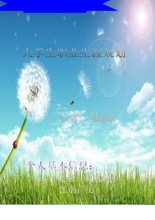 职业生涯规划获奖作品