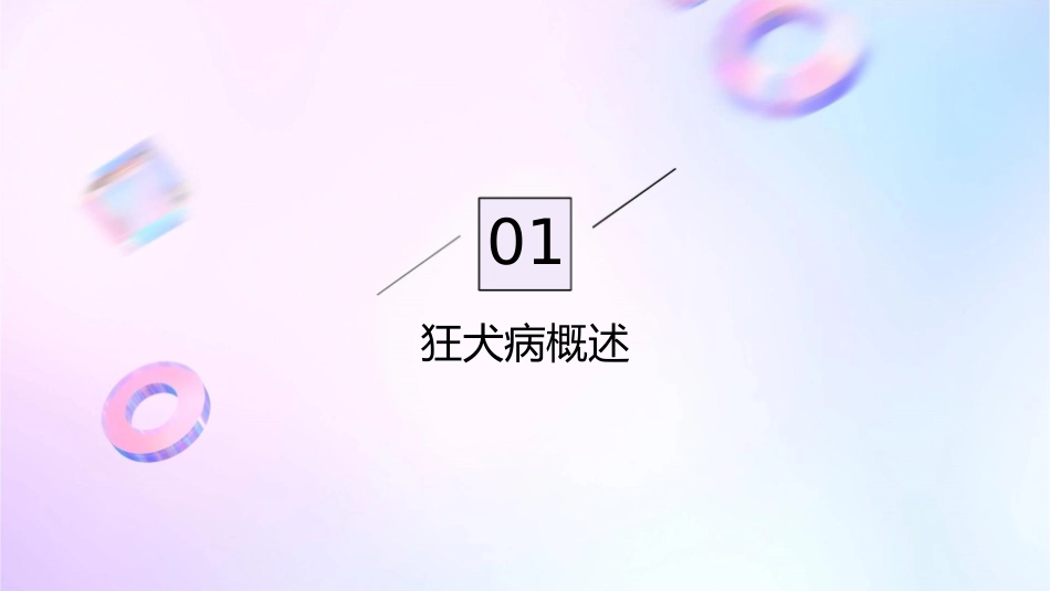 狂犬病规范化处置门诊课件_第3页
