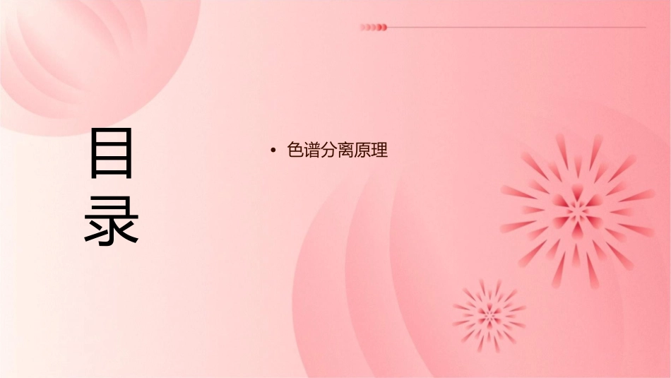 色谱基本理论课件_第2页