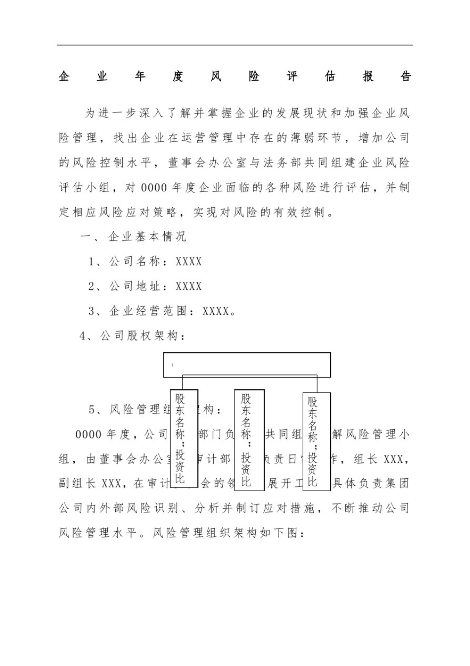 企业风险评估报告_第1页