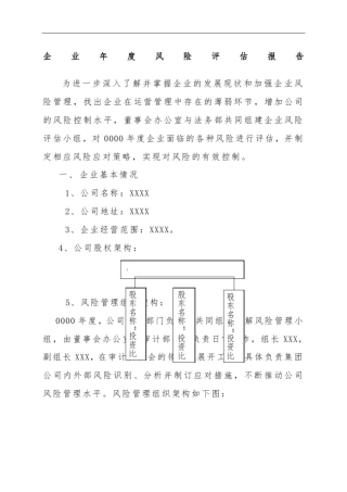 企业风险评估报告