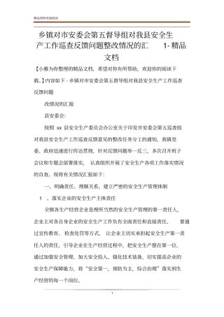 乡镇对市安委会第五督导组对我县安全生产工作巡查反馈问题整改情况的汇1-精品文档