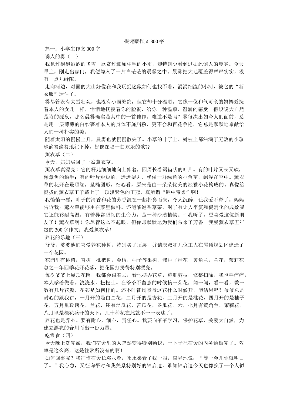 捉迷藏ۥ作文300字精选 _第1页