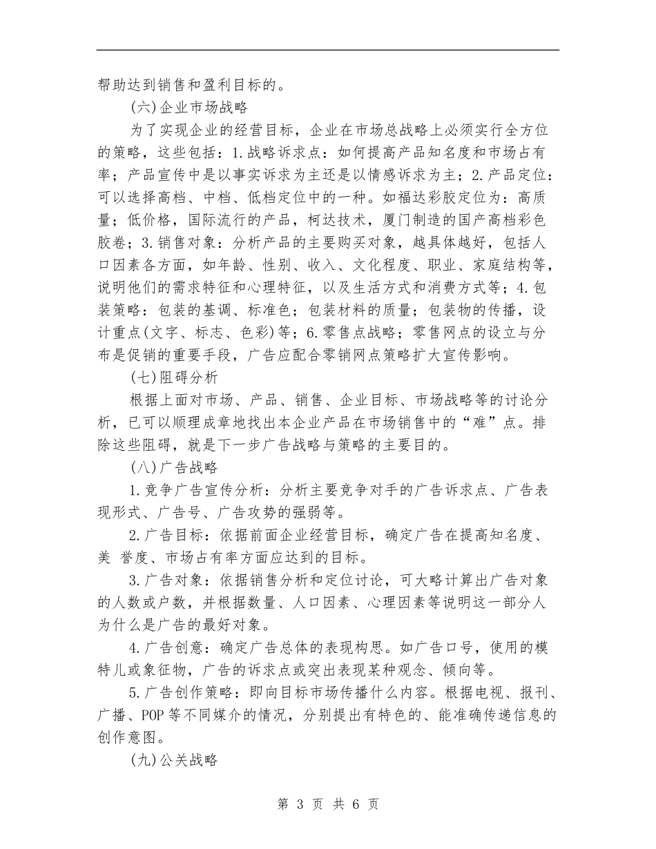 广告策划书的撰写之国内的代表主张_第3页