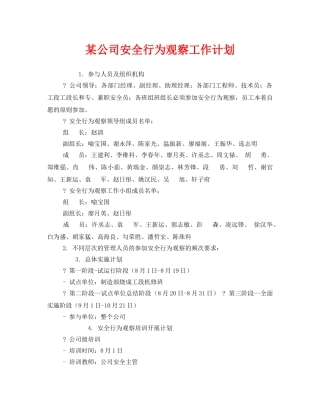《安全管理文档》之某公司安全行为观察工作计划 