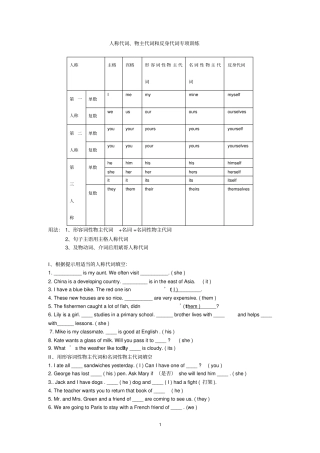 人称代词专项训练