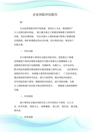 企业风险评估报告.doc