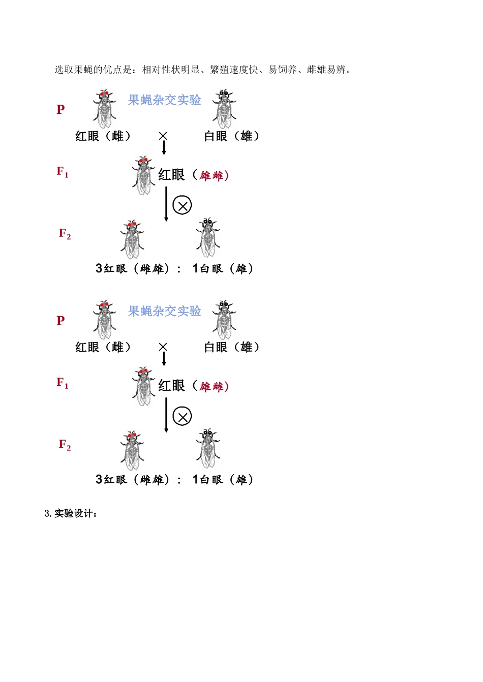 高考生物专题教案：基因的表达_第3页