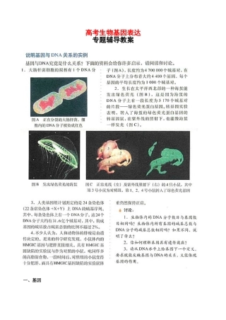 高考生物专题教案：基因的表达