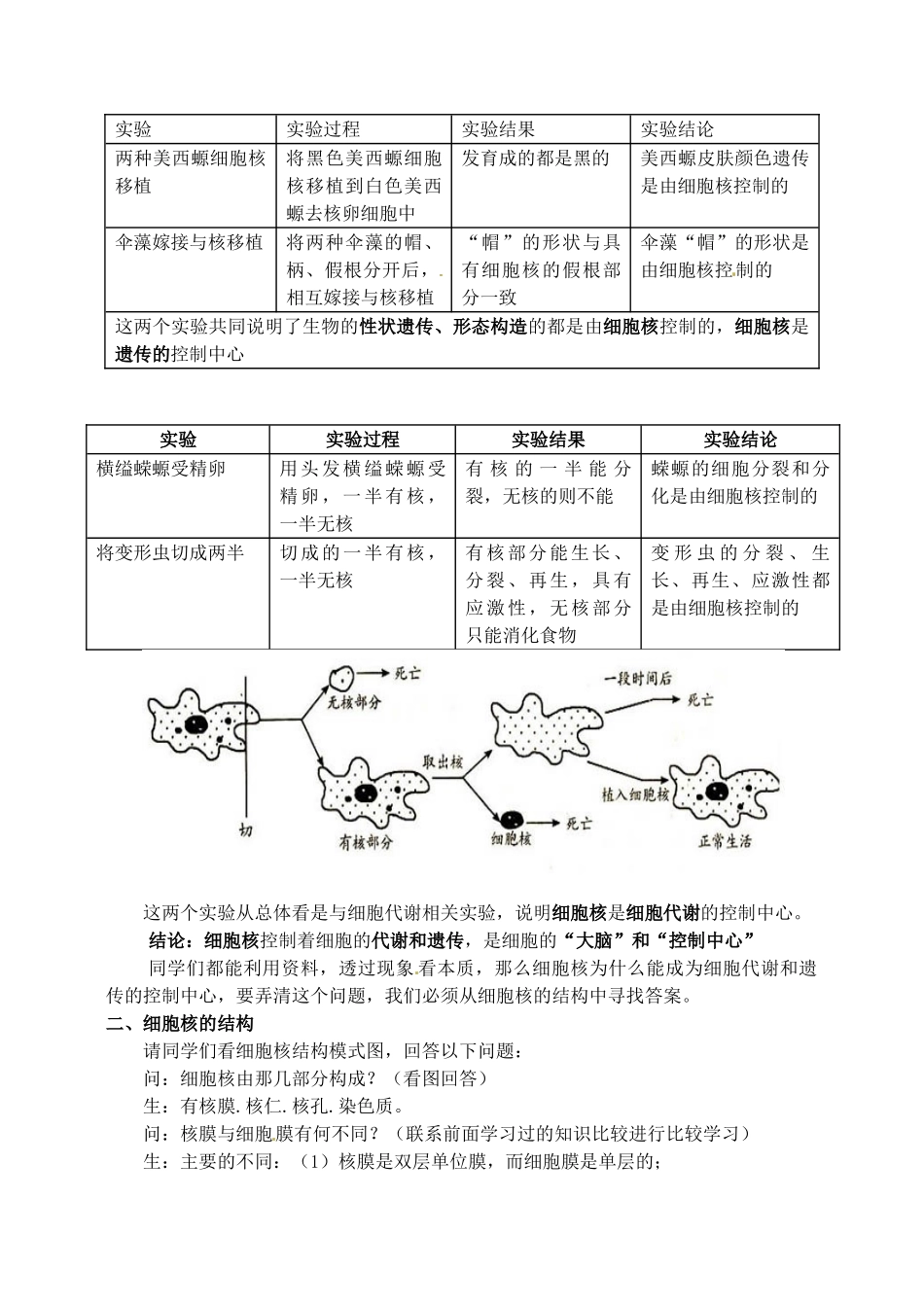 高中生物 3.3细胞核系统的控制中心2教案 新人教版必修1_第2页
