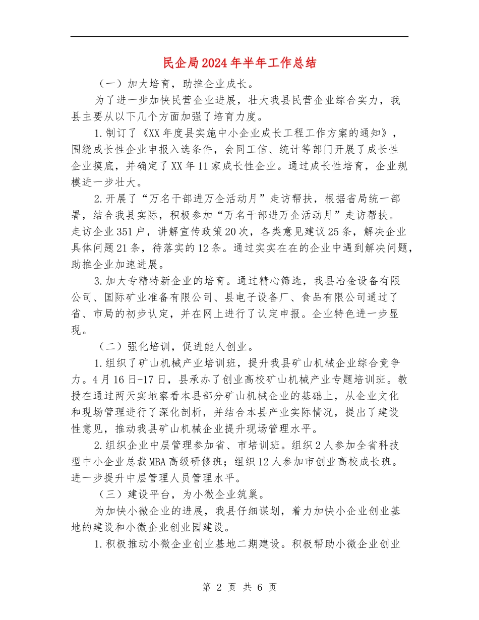 民企局2024年半年工作总结_第2页