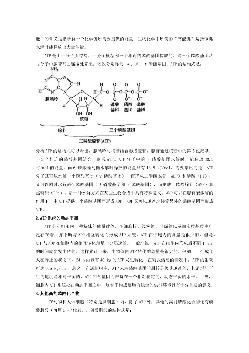 高中生物：5.2 细胞的能量“通货”──ATP 教案（7）（新人教版必修1）_第3页