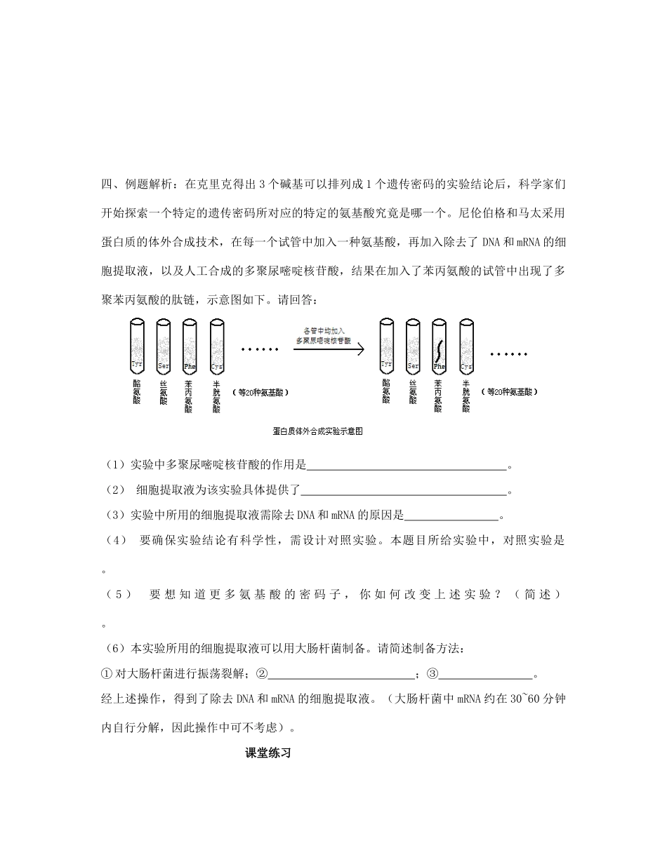 高三生物 专题五 遗传的分子基础和遗传的基本规律（第二课时）教案_第2页