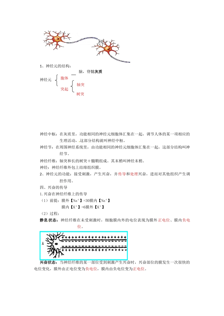 高中生物： 22 人体生命活动的调节（教案）苏教版必修3_第2页