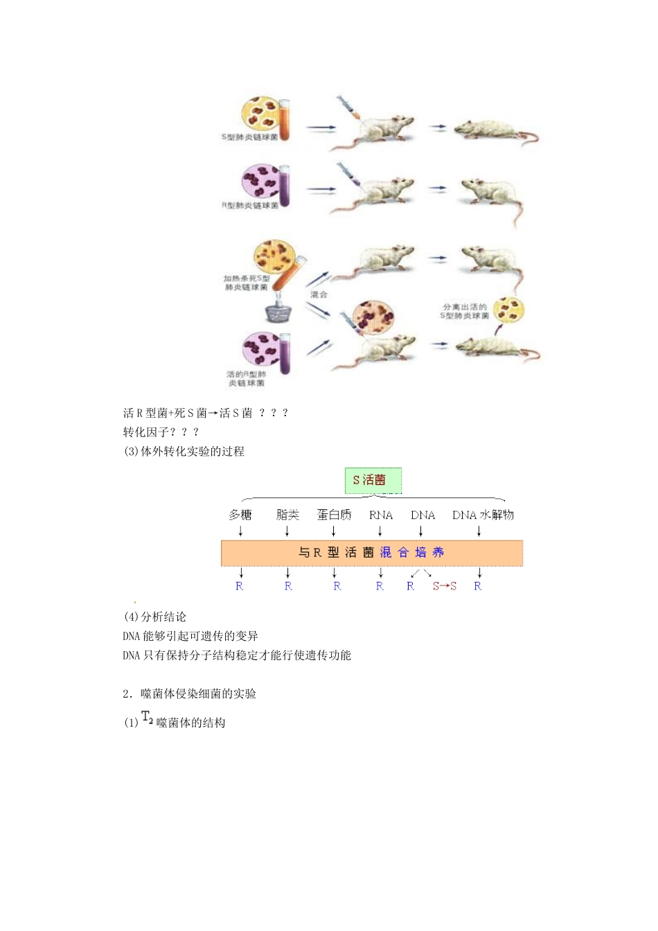 高中生物： 第4章 遗传的分子基础（教案）苏教版必修2_第2页