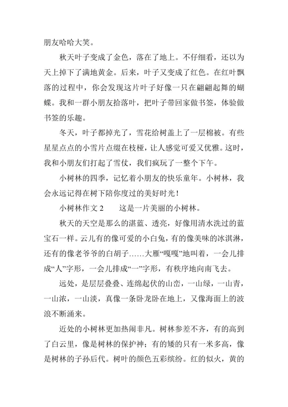 小树林作文(精选17篇)_第2页