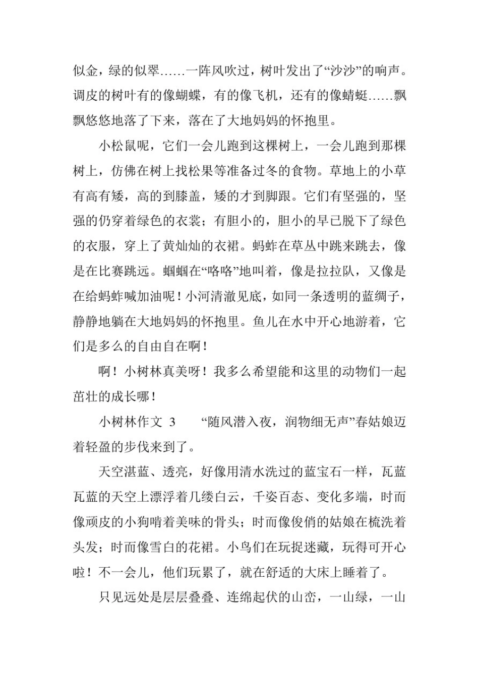 小树林作文(精选17篇)_第3页