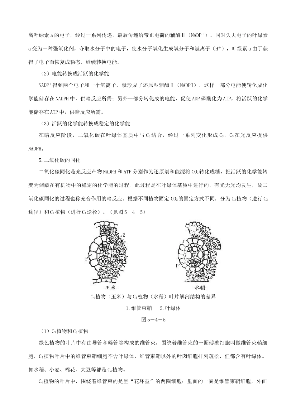 高中生物能量之源 光与光合作用备课资料2 新课标 人教版 必修1_第3页