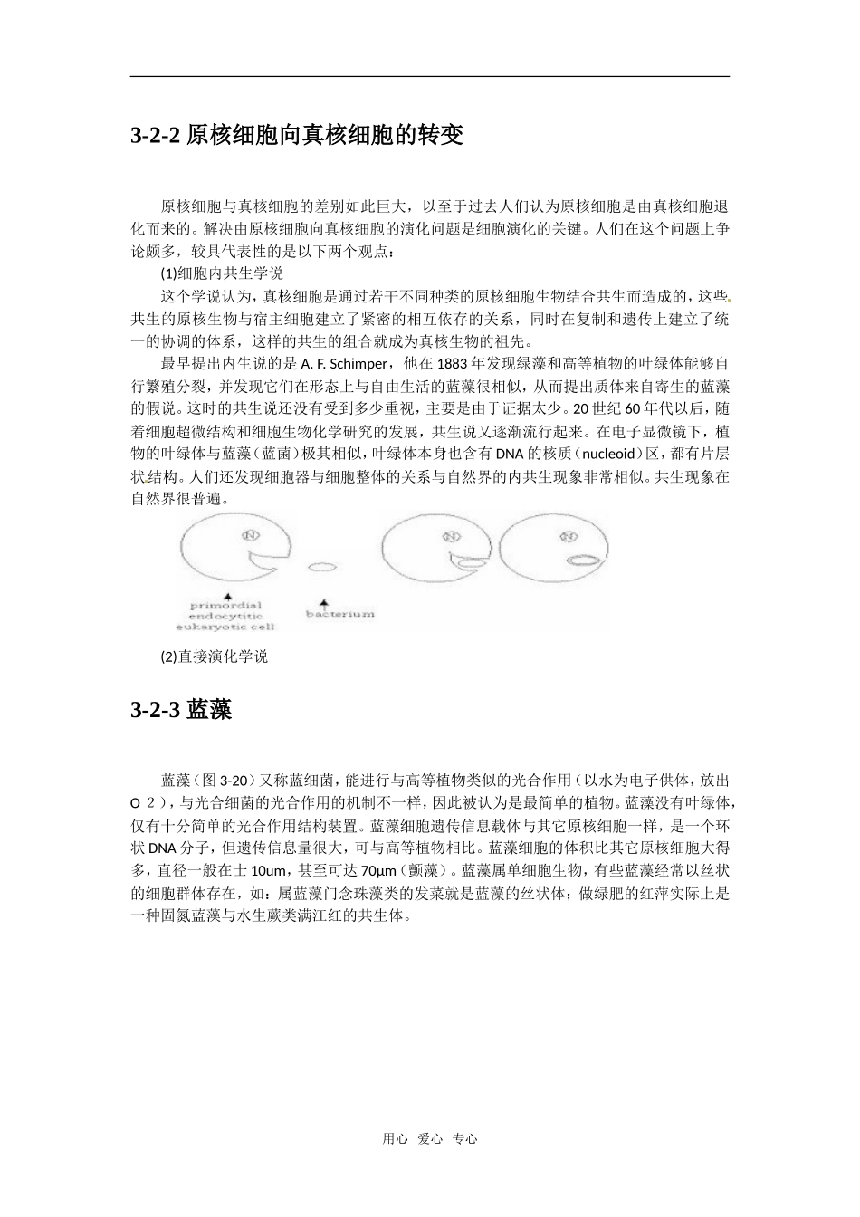 高中生物： 32 细胞的类型和结构（学案）苏教版必修1_第2页
