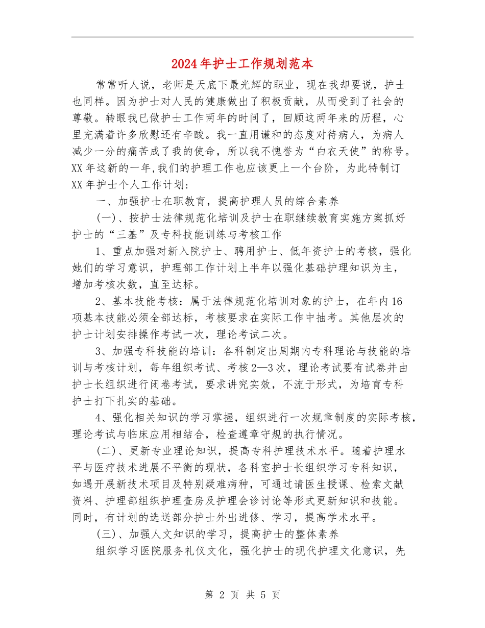 2024年护士工作规划范本_第2页