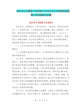 2024年6月财务工作总结6与2024年6月送货员试用期工作总结范文汇编.doc