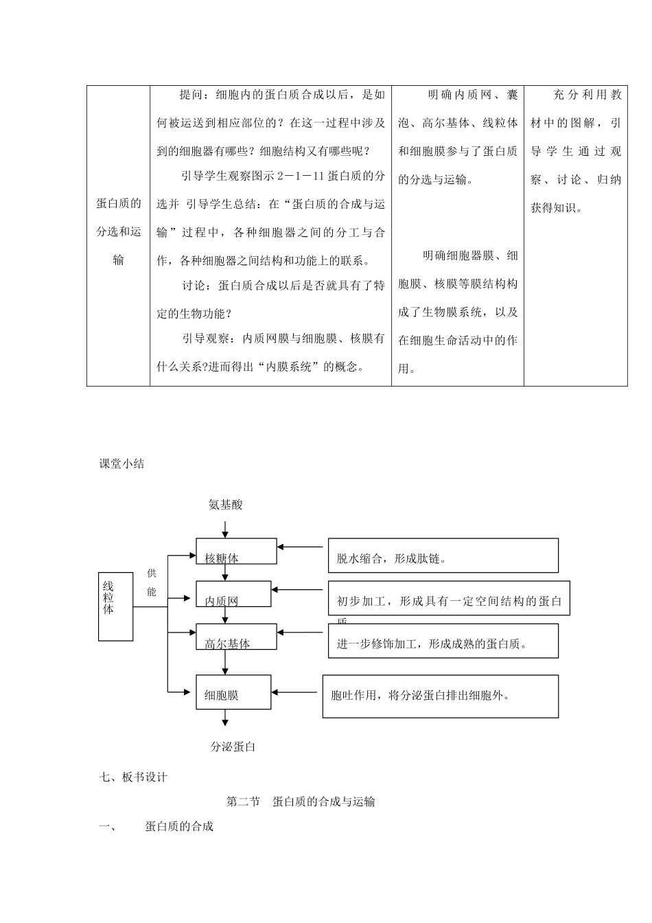 高中生物《蛋白质的合成与运输》教案3 中图版必修1_第3页