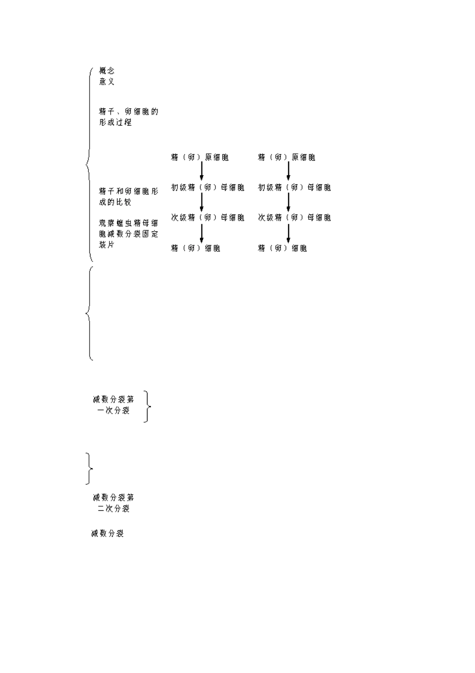 高三生物 减数分裂和受精作用精华教案 新人教版_第2页