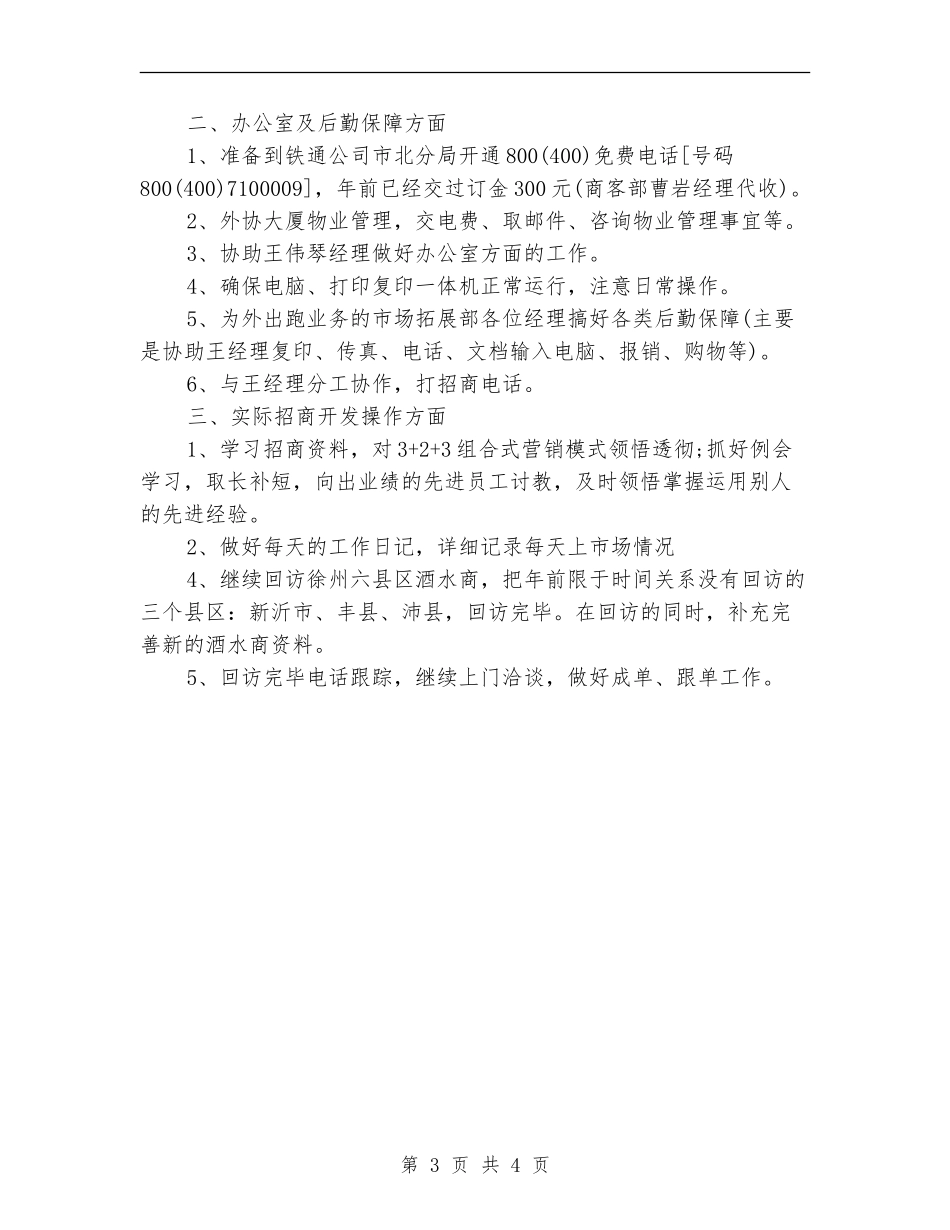 销售个人年度计划表格_第3页