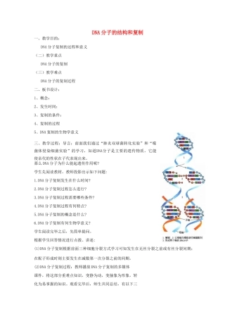 《DNA的结构和DNA的复制》教案（1）
