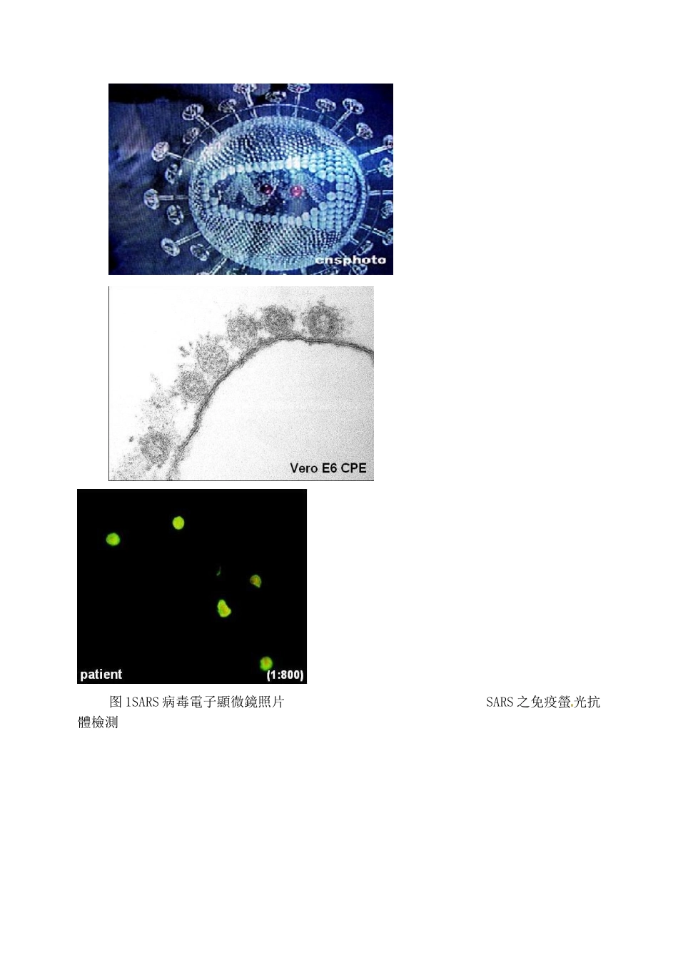 高中生物 1.1从生物圈到细胞2教案 新人教版必修1_第2页
