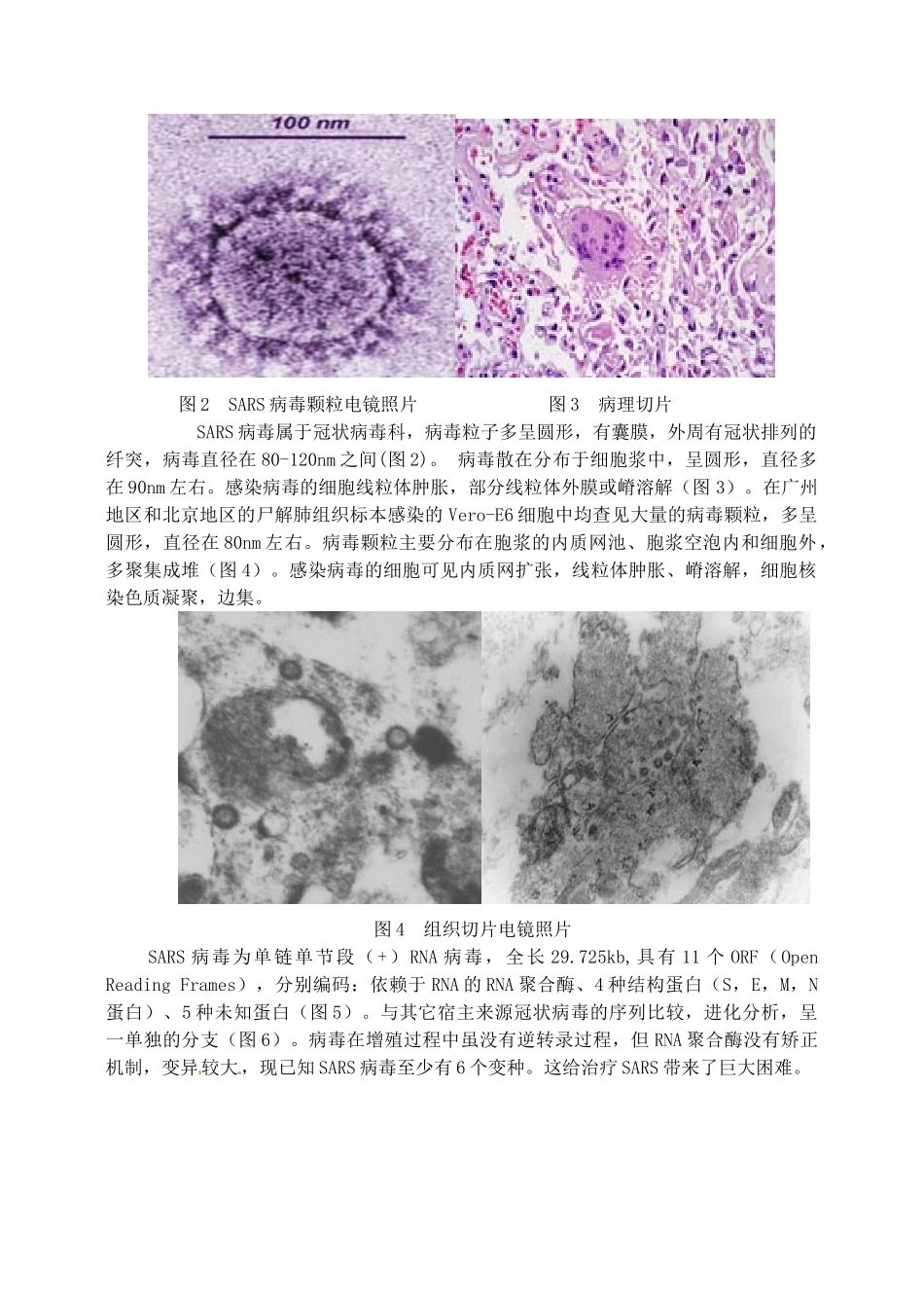 高中生物 1.1从生物圈到细胞2教案 新人教版必修1_第3页