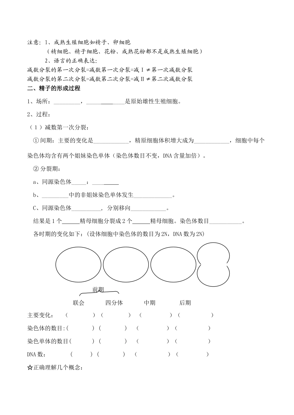 高中生物减数分裂和受精作用导学案人教版必修二_第2页