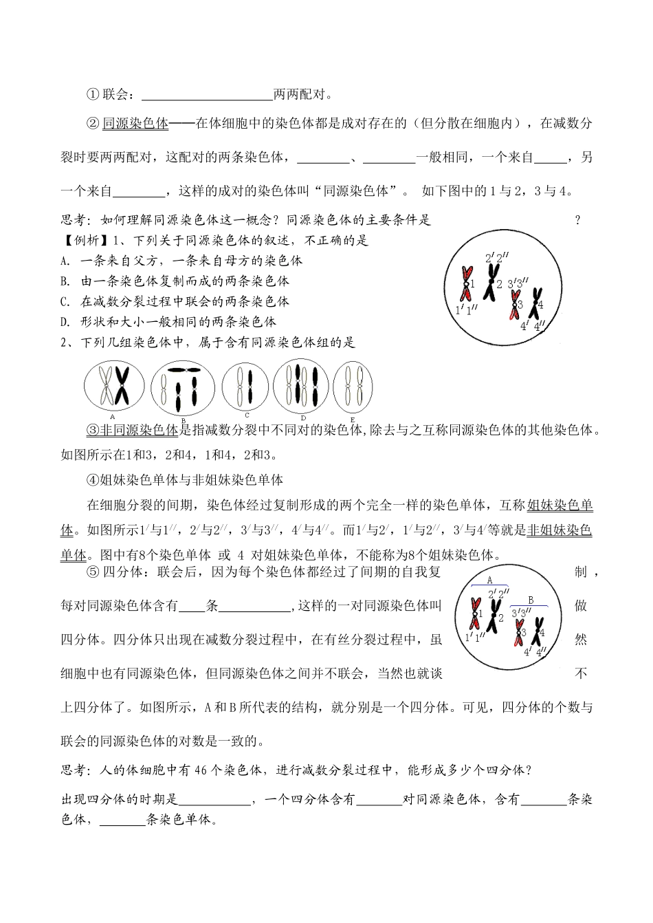 高中生物减数分裂和受精作用导学案人教版必修二_第3页
