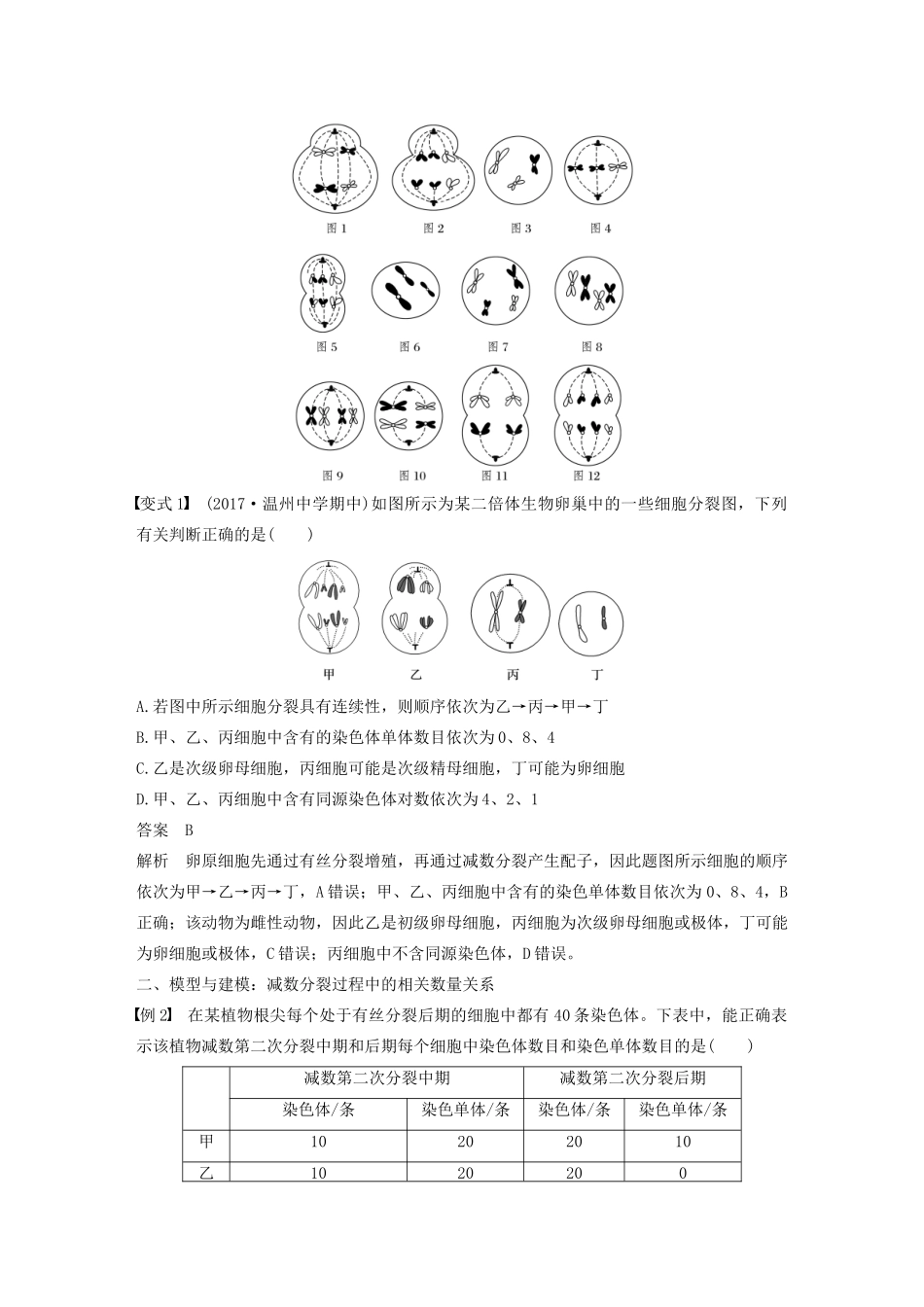 高中生物 第二章 染色体与遗传 微专题三 染色体与遗传的解题方法教案 浙科版必修2-浙科版高中必修2生物教案_第2页
