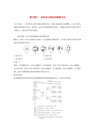 高中生物 第二章 染色体与遗传 微专题三 染色体与遗传的解题方法教案 浙科版必修2-浙科版高中必修2生物教案