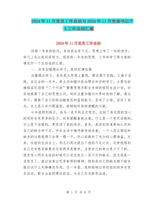 2024年11月党员工作总结与2024年11月党委书记个人工作总结汇编