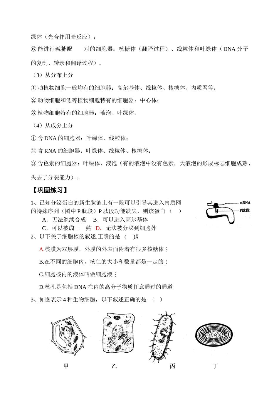 高考生物 总第23课时 专题二 生命的结构基础 ( 1) 教案 人教版_第3页
