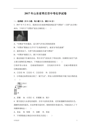 2017年山东省枣庄市中考化学试卷(解析版)